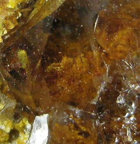 Quartz Var Eisenkiesel Psm Fossil Archaea Bacteria Gold Fossil Fungi Mycelium