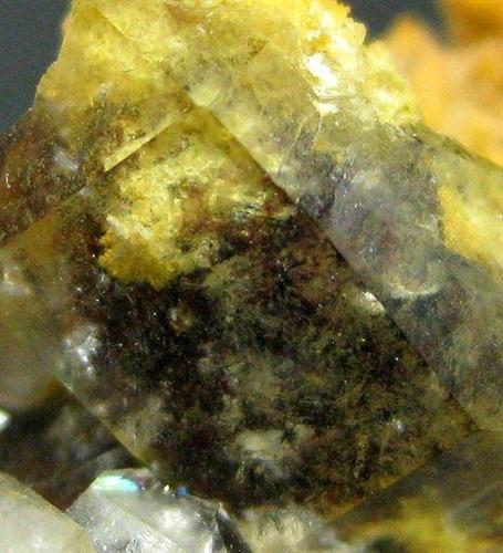 Quartz Var Eisenkiesel Psm Fossil Bacteria Inclusions