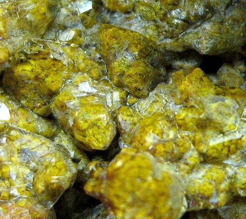Quartz Var Eisenkiesel With Fossil Fungi Mycelium