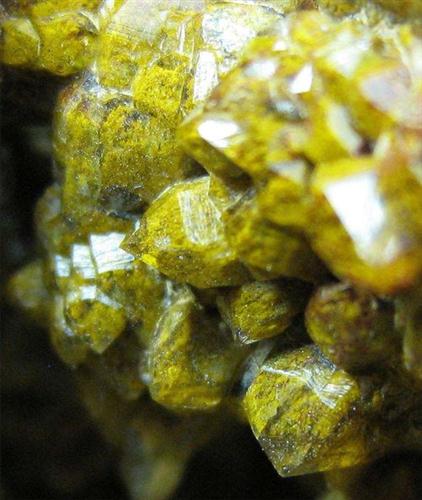 Quartz Var Eisenkiesel With Fossil Fungi Mycelium