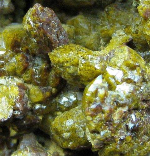 Quartz Var Eisenkiesel With Fossil Fungi Mycelium
