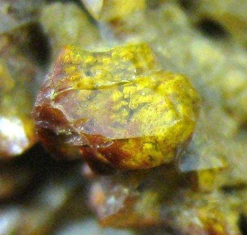 Quartz Var Eisenkiesel With Fossil Fungi Mycelium