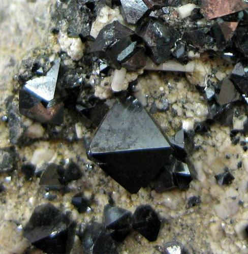 Magnetite & Carbonate-rich Hydroxylapatite