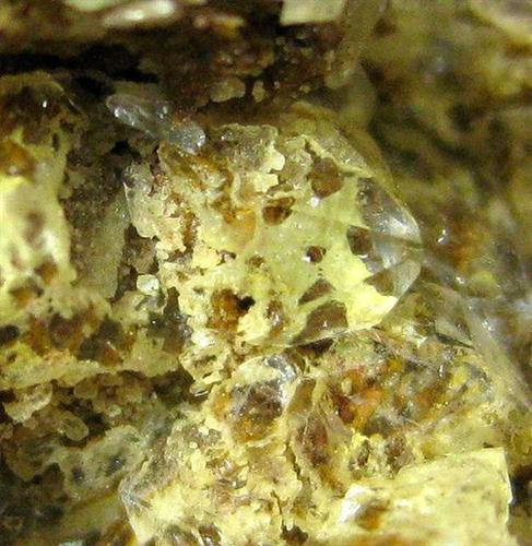 Quartz Var Eisenkiesel Psm Fossil Bacteria