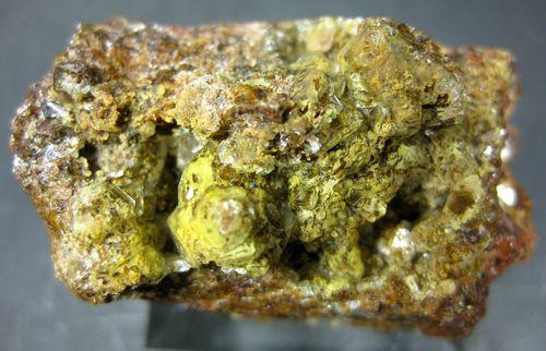 Quartz Var Eisenkiesel Psm Fossil Bacteria