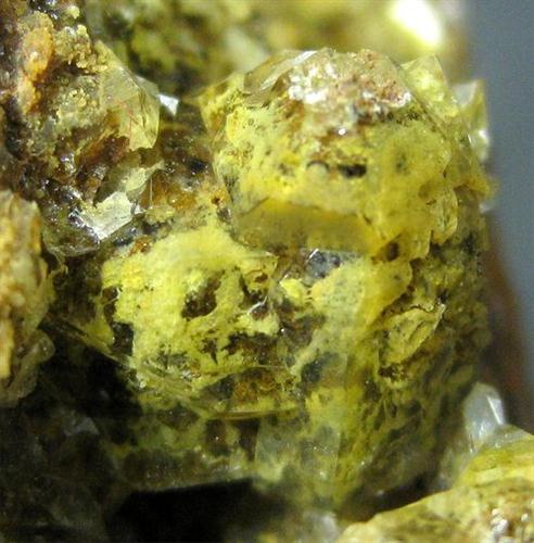 Quartz Var Eisenkiesel Psm Fossil Bacteria