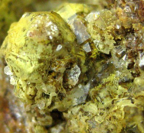 Quartz Var Eisenkiesel Psm Fossil Bacteria