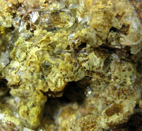 Quartz Var Eisenkiesel Psm Fossil Bacteria