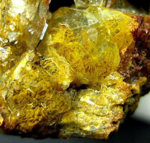 Quartz Var Eisenkiesel Psm Fossil Archaea Bacteria Gold Fossil Fungi Mycelium