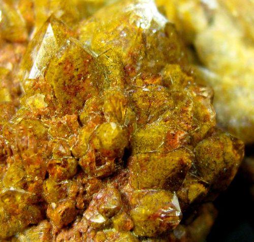 Quartz Var Eisenkiesel Psm Fossil Archaea Bacteria Gold Fossil Fungi Mycelium