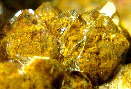 Quartz Var Eisenkiesel Psm Fossil Archaea Bacteria Gold Fossil Fungi Mycelium