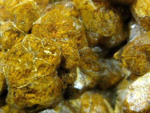 Quartz Var Eisenkiesel Psm Fossil Archaea Bacteria Gold Fossil Fungi Mycelium