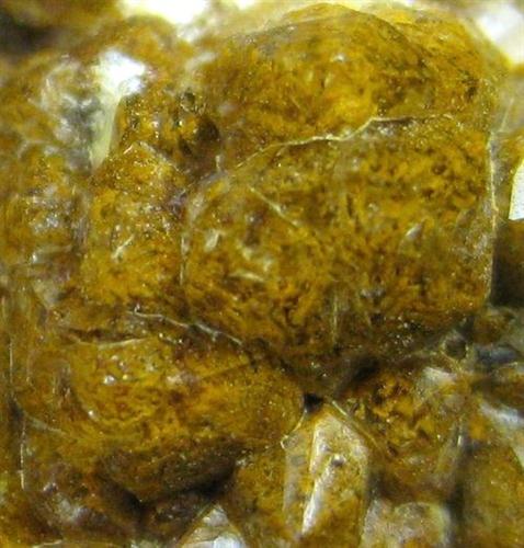 Quartz Var Eisenkiesel Psm Fossil Archaea Bacteria Gold Fossil Fungi Mycelium