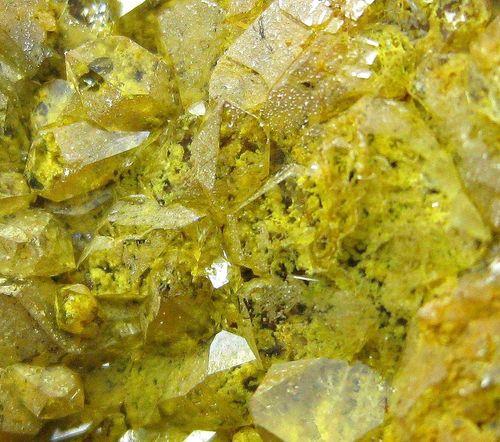 Quartz Var Eisenkiesel Psm Fossil Archaea Bacteria Gold Fossil Fungi Mycelium