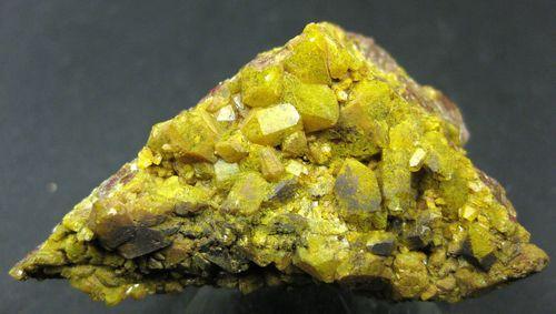 Quartz Var Eisenkiesel Psm Fossil Archaea Bacteria Gold Fossil Fungi Mycelium