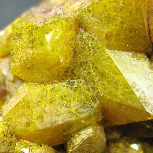 Quartz Var Eisenkiesel Psm Fossil Archaea Bacteria Gold Fossil Fungi Mycelium