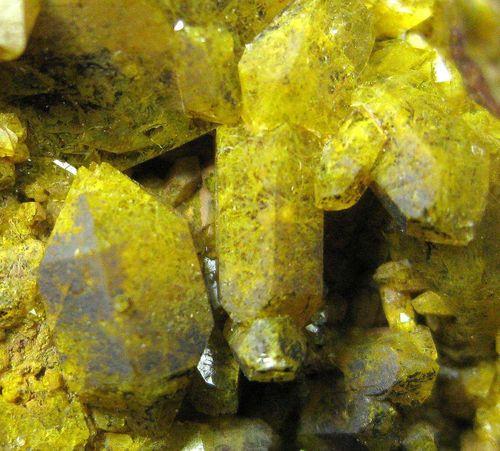Quartz Var Eisenkiesel Psm Fossil Archaea Bacteria Gold Fossil Fungi Mycelium