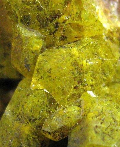 Quartz Var Eisenkiesel Psm Fossil Archaea Bacteria Gold Fossil Fungi Mycelium
