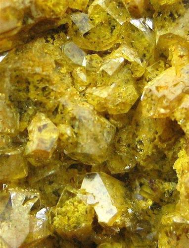 Quartz Var Eisenkiesel Psm Fossil Archaea Bacteria Gold Fossil Fungi Mycelium