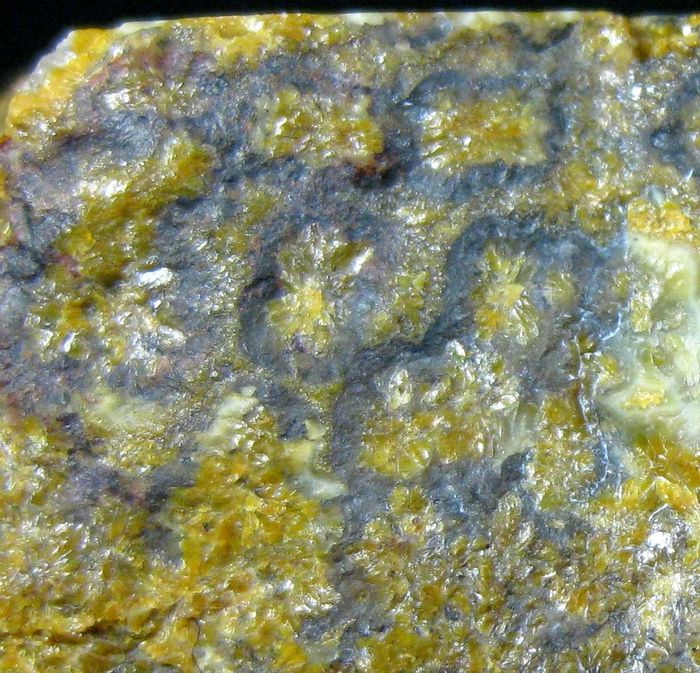 Quartz Var Eisenkiesel Psm Fossil Stromatolite
