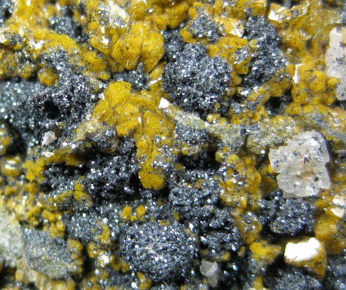 Quartz Var Eisenkiesel With Fossil Bacteria Inclusions & Hematite