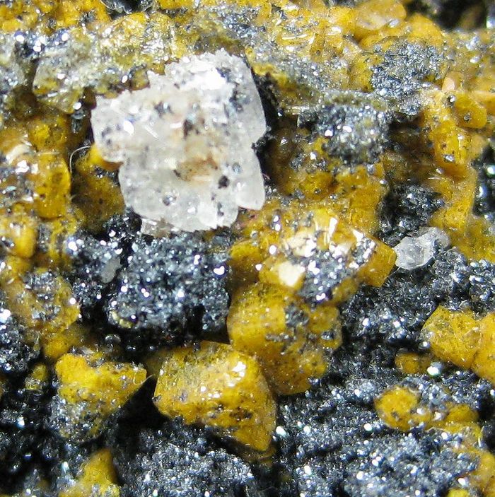 Quartz Var Eisenkiesel With Fossil Bacteria Inclusions & Hematite