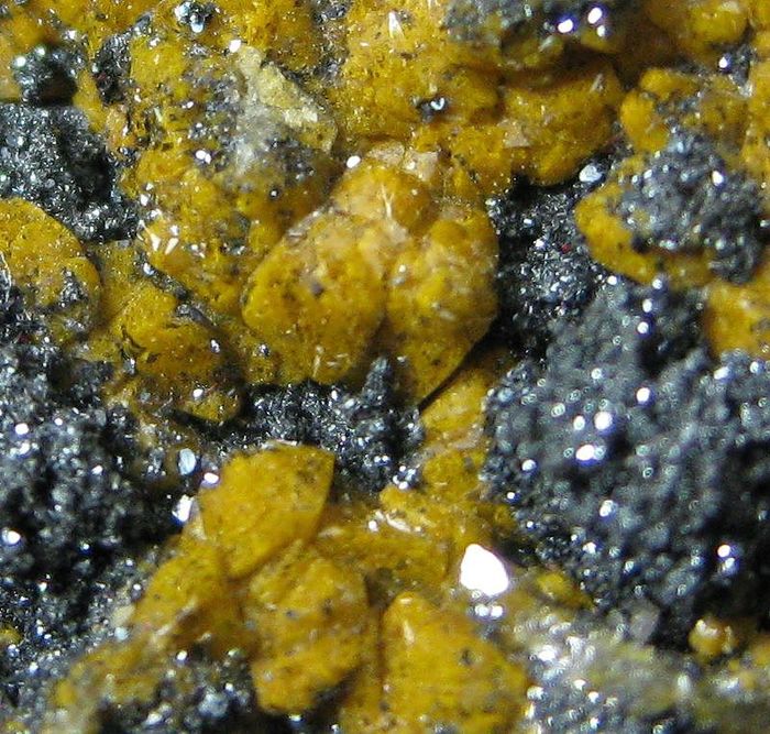 Quartz Var Eisenkiesel With Fossil Bacteria Inclusions & Hematite