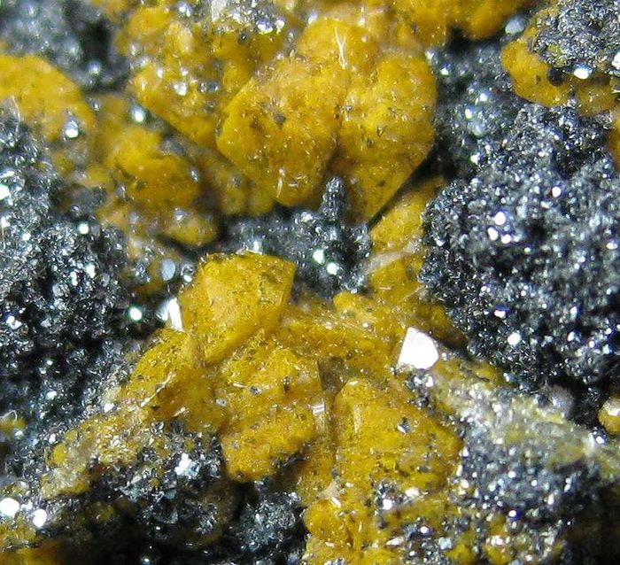 Quartz Var Eisenkiesel With Fossil Bacteria Inclusions & Hematite
