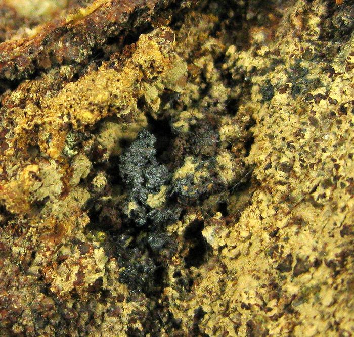 Arseniosiderite Goethite & Conichalcite