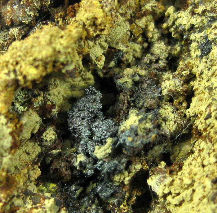 Arseniosiderite Goethite & Conichalcite