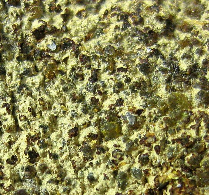 Arseniosiderite Goethite & Conichalcite