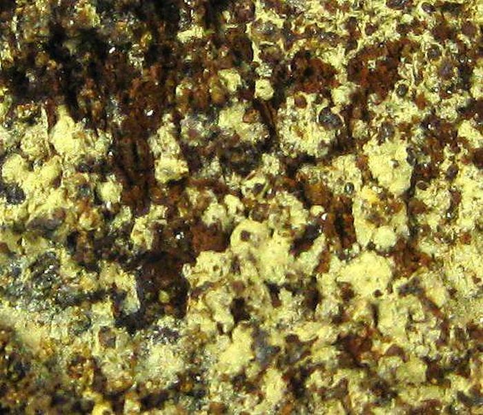 Arseniosiderite Goethite & Conichalcite