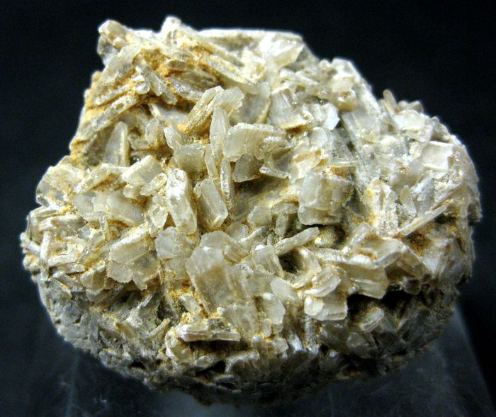 Baryte Psm Fossil Shell