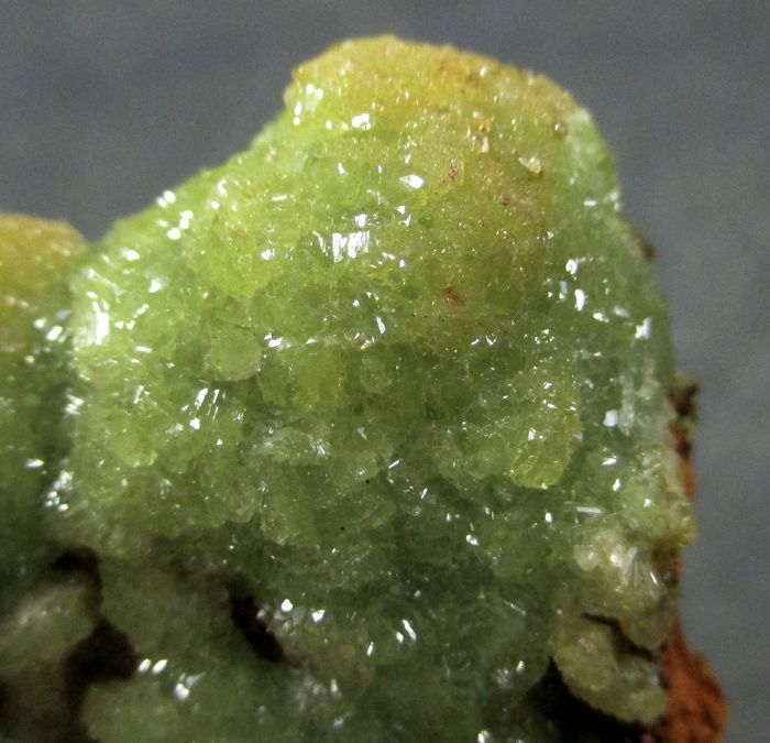 Cuprian Adamite