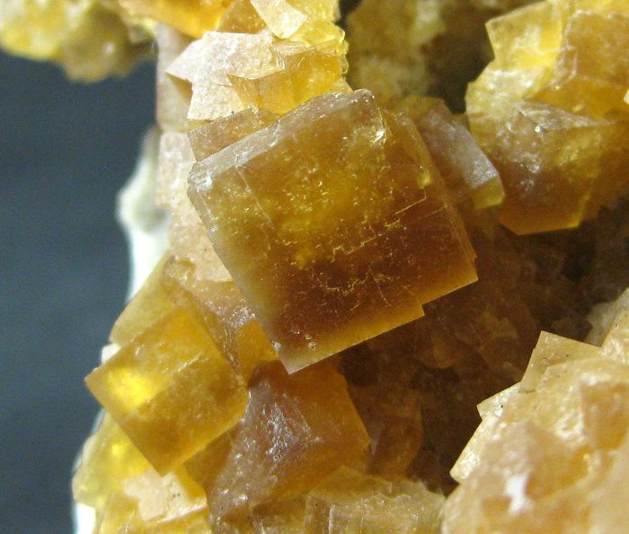 Fluorite On Fossil Coral