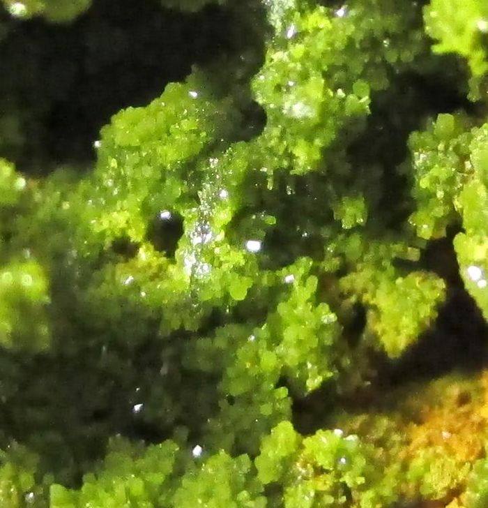 Pyromorphite & Quartz
