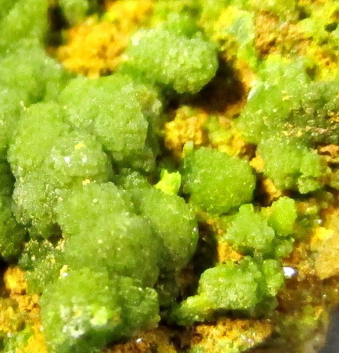 Pyromorphite & Quartz