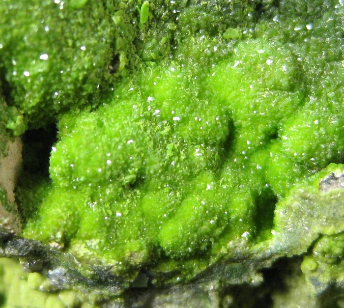 Pyromorphite