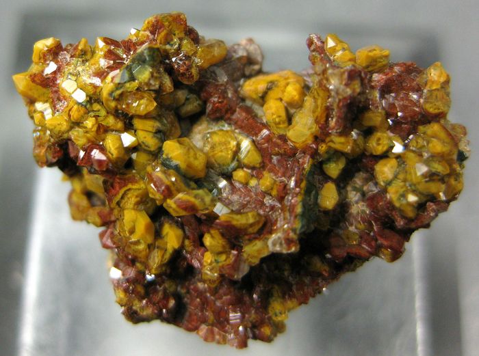 Quartz Var Eisenkiesel Psm Fossil Bacteria Inclusions