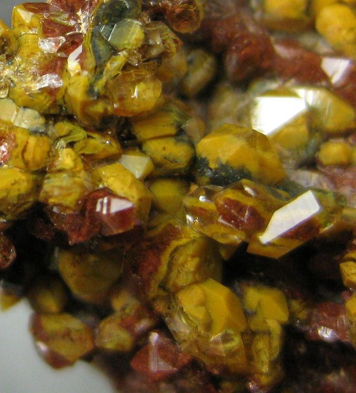 Quartz Var Eisenkiesel Psm Fossil Bacteria Inclusions