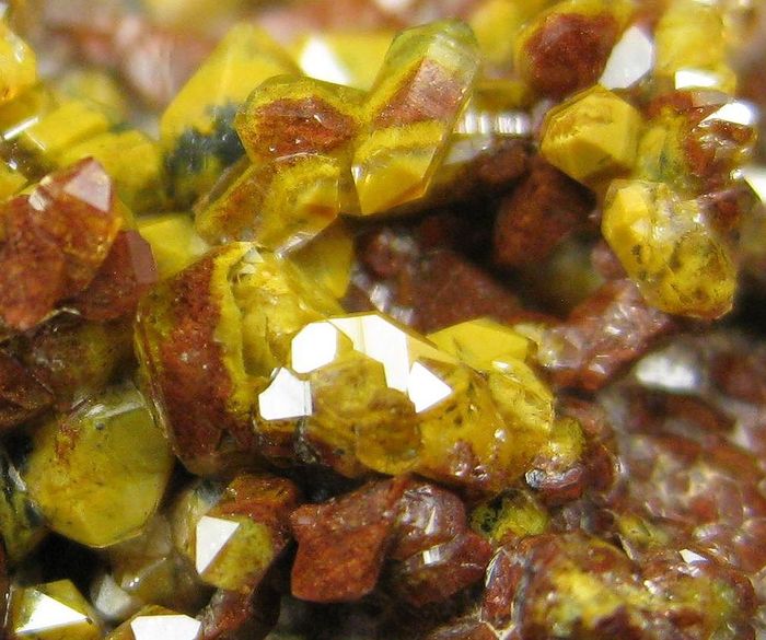 Quartz Var Eisenkiesel Psm Fossil Bacteria Inclusions