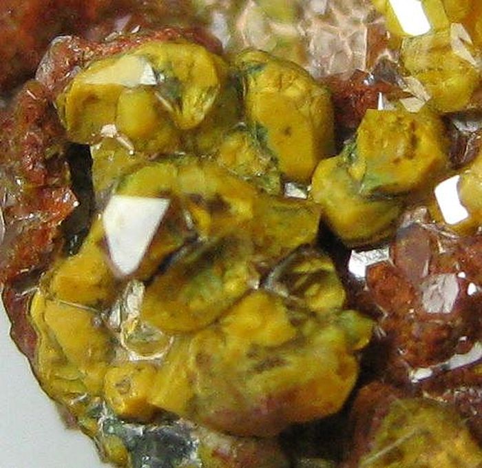 Quartz Var Eisenkiesel Psm Fossil Bacteria Inclusions