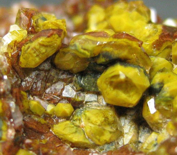Quartz Var Eisenkiesel Psm Fossil Bacteria Inclusions