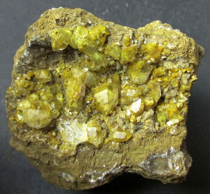 Quartz Var Eisenkiesel Psm Fossil Fungi Mycelium Gold Archaea Bacteria