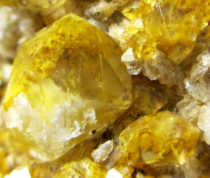 Quartz Var Eisenkiesel Psm Fossil Fungi Mycelium Gold Archaea Bacteria