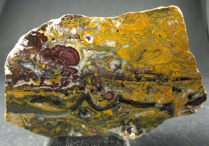 Quartz Var Eisenkiesel Psm Fossil Stromatolite