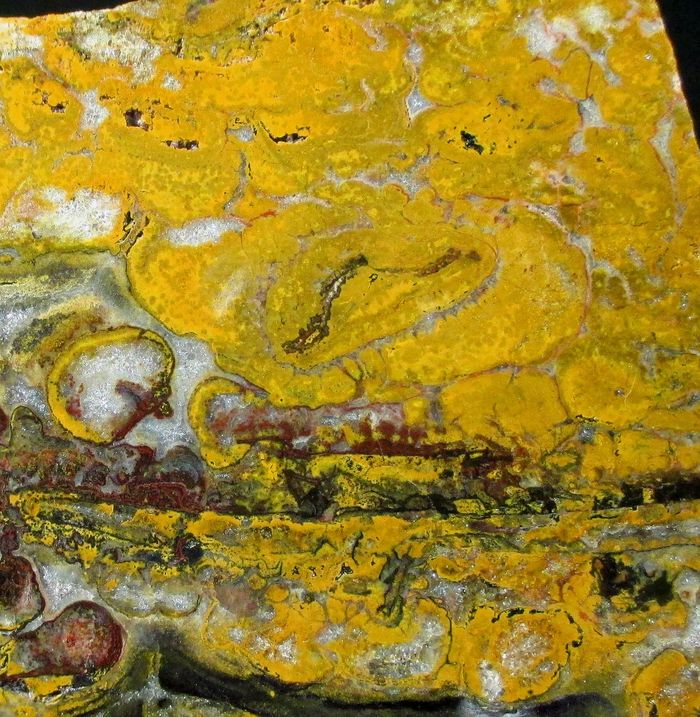 Quartz Var Eisenkiesel Psm Fossil Stromatolite