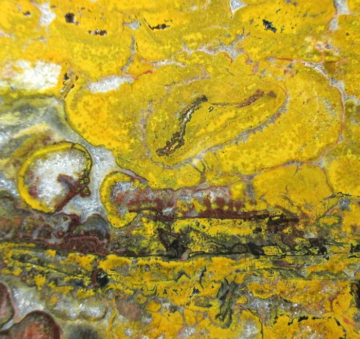 Quartz Var Eisenkiesel Psm Fossil Stromatolite