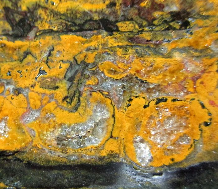 Quartz Var Eisenkiesel Psm Fossil Stromatolite