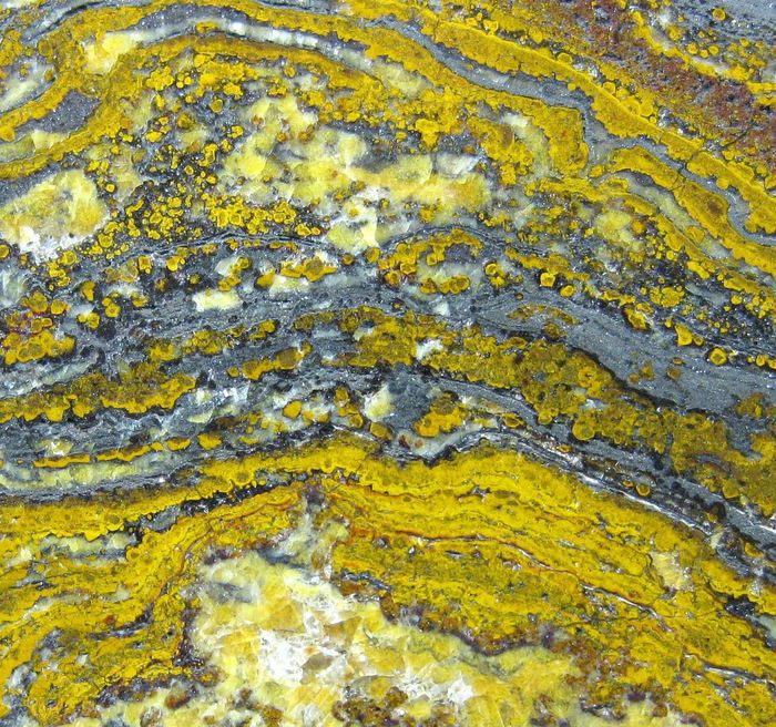 Quartz Var Eisenkiesel Psm Fossil Stromatolite With Hematite